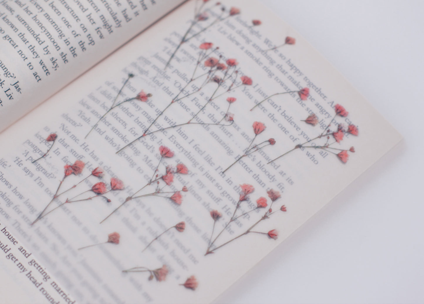 Appree Pressed Flower Sticker - Gypsophila