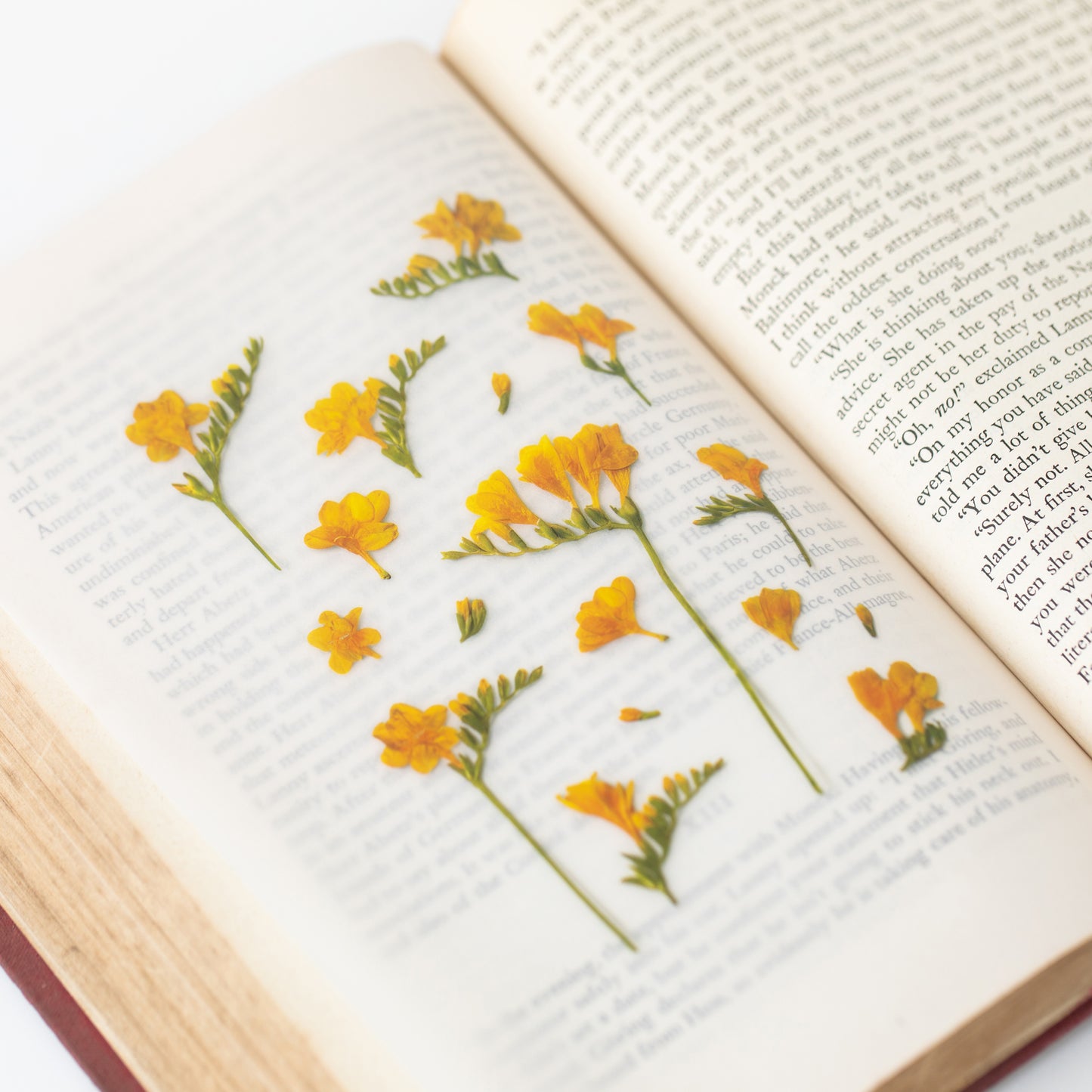 Appree Pressed Flower Sticker - Freesia