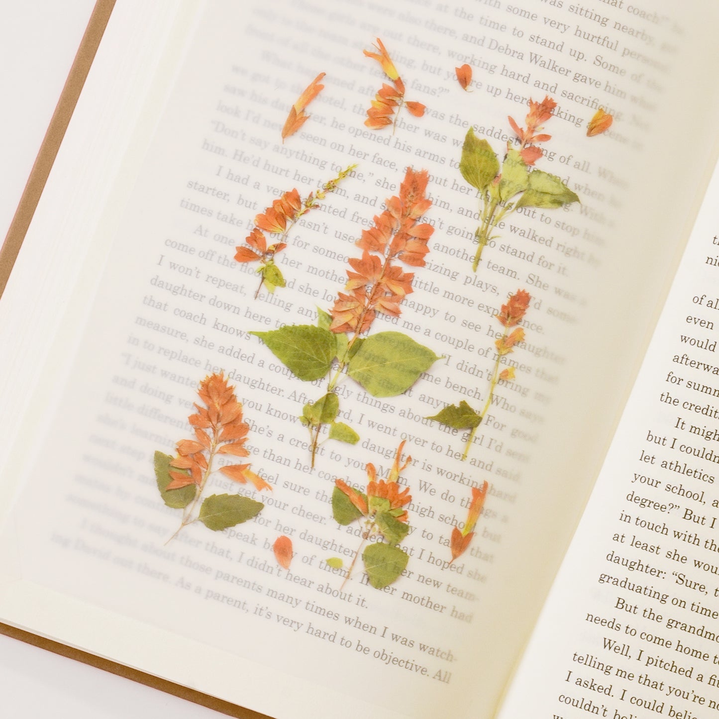 Appree Pressed Flower Sticker - Salvia