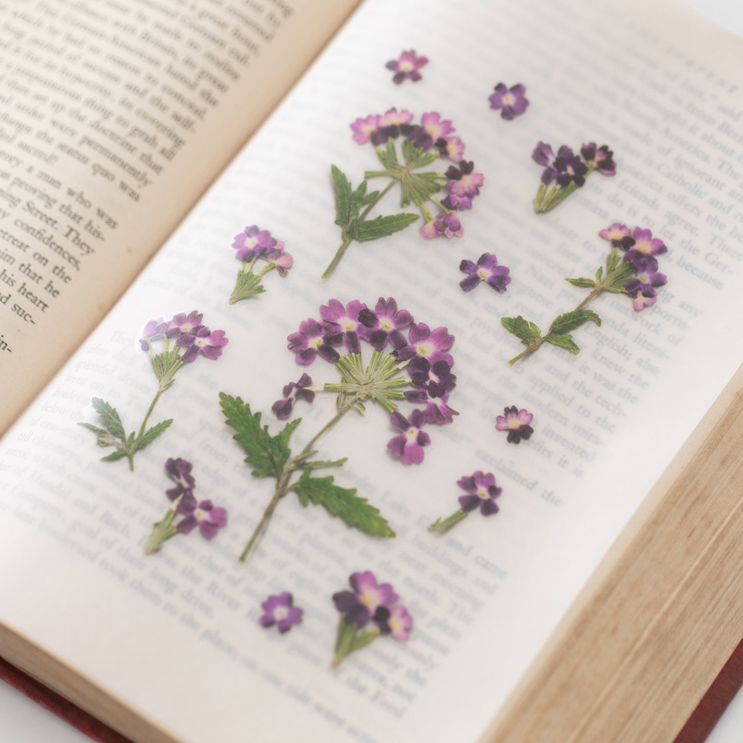 Appree Pressed Flower Sticker - Verbena