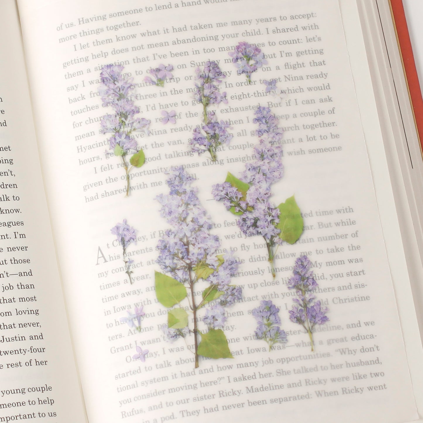 Appree Pressed Flower Sticker - Lilac
