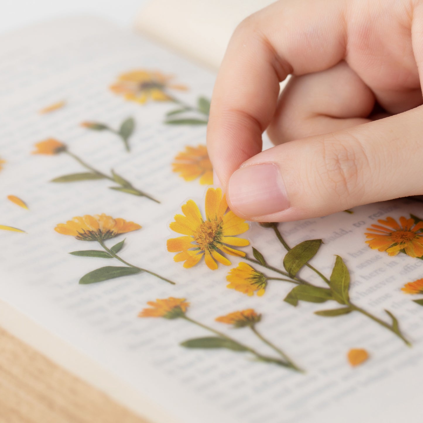 Appree Pressed Flower Sticker - Calendula