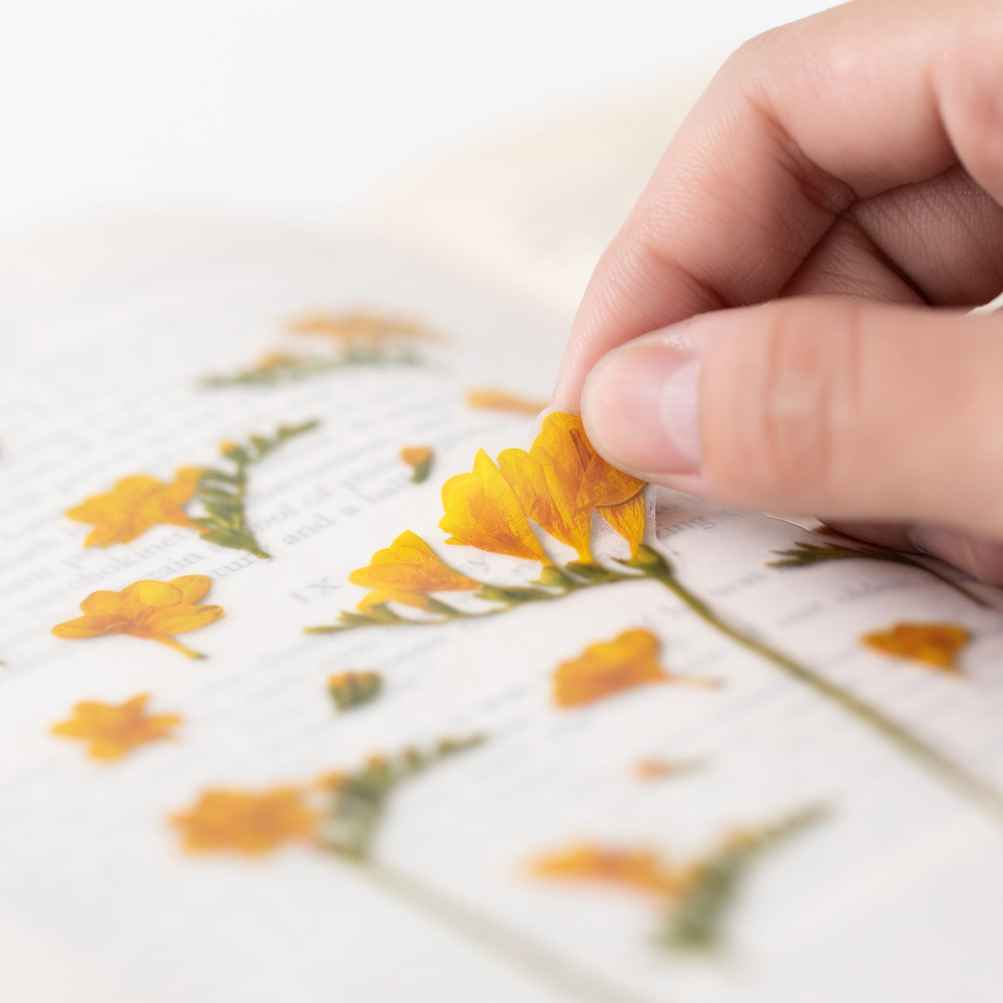 Appree Pressed Flower Sticker - Freesia