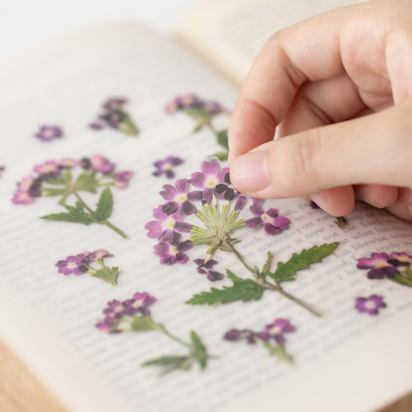 Appree Pressed Flower Sticker - Verbena