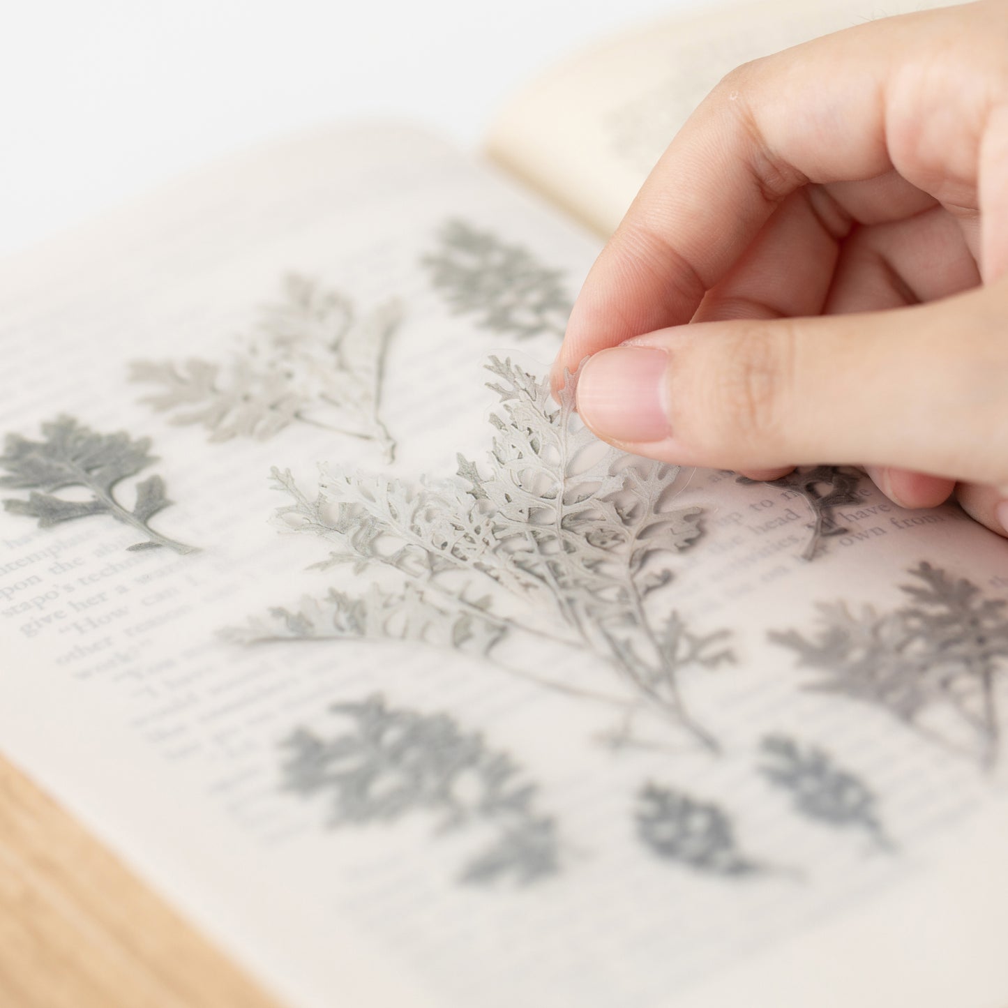 Appree Pressed Flower Sticker - Dusty Miller