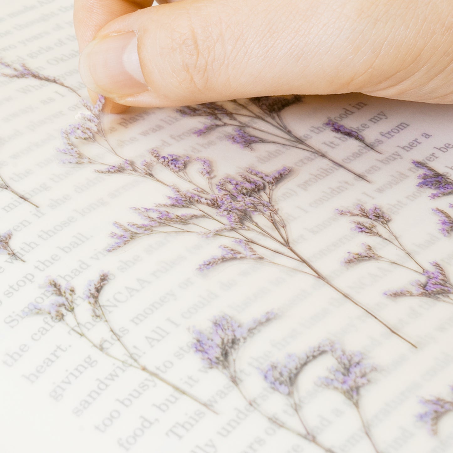Appree Pressed Flower Sticker - Misty Blue