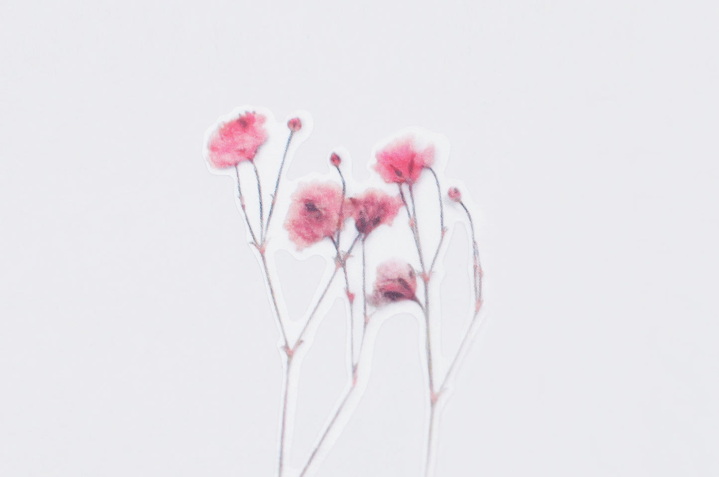 Appree Pressed Flower Sticker - Gypsophila