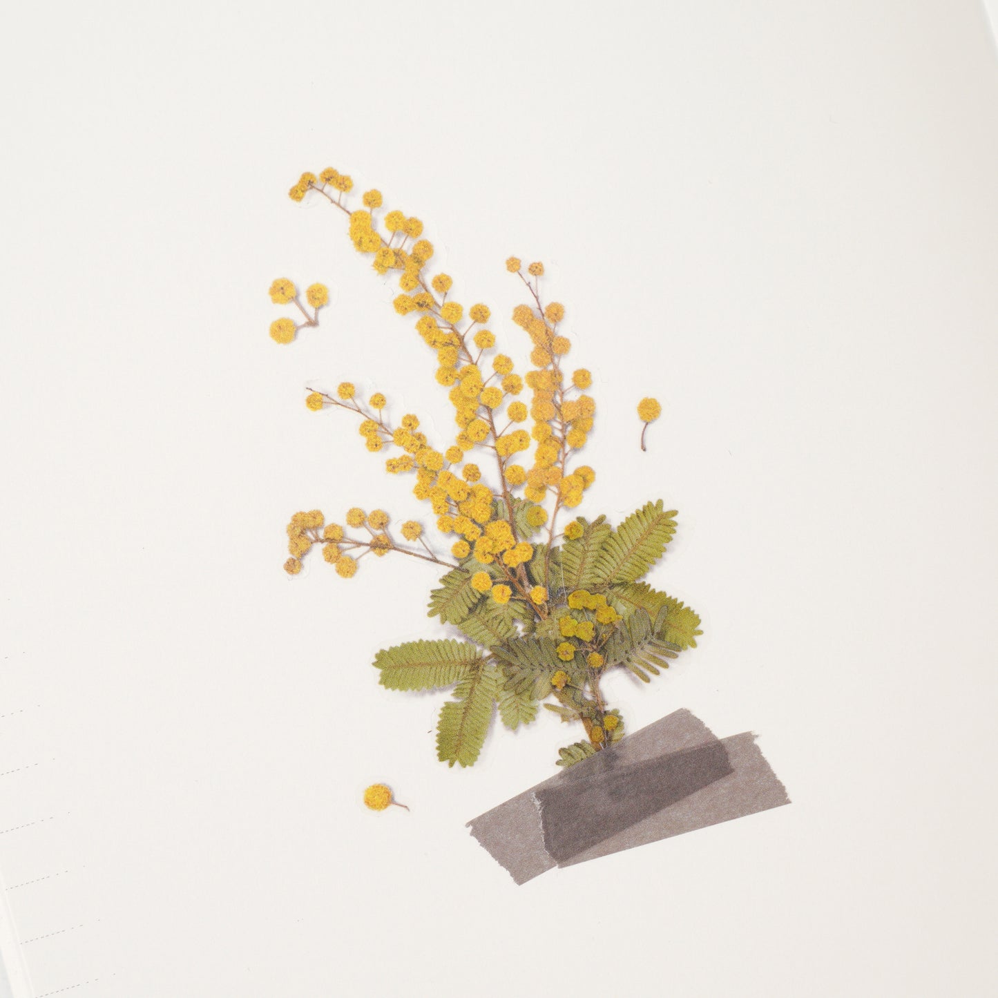 Appree Pressed Flower Sticker - Mimosa