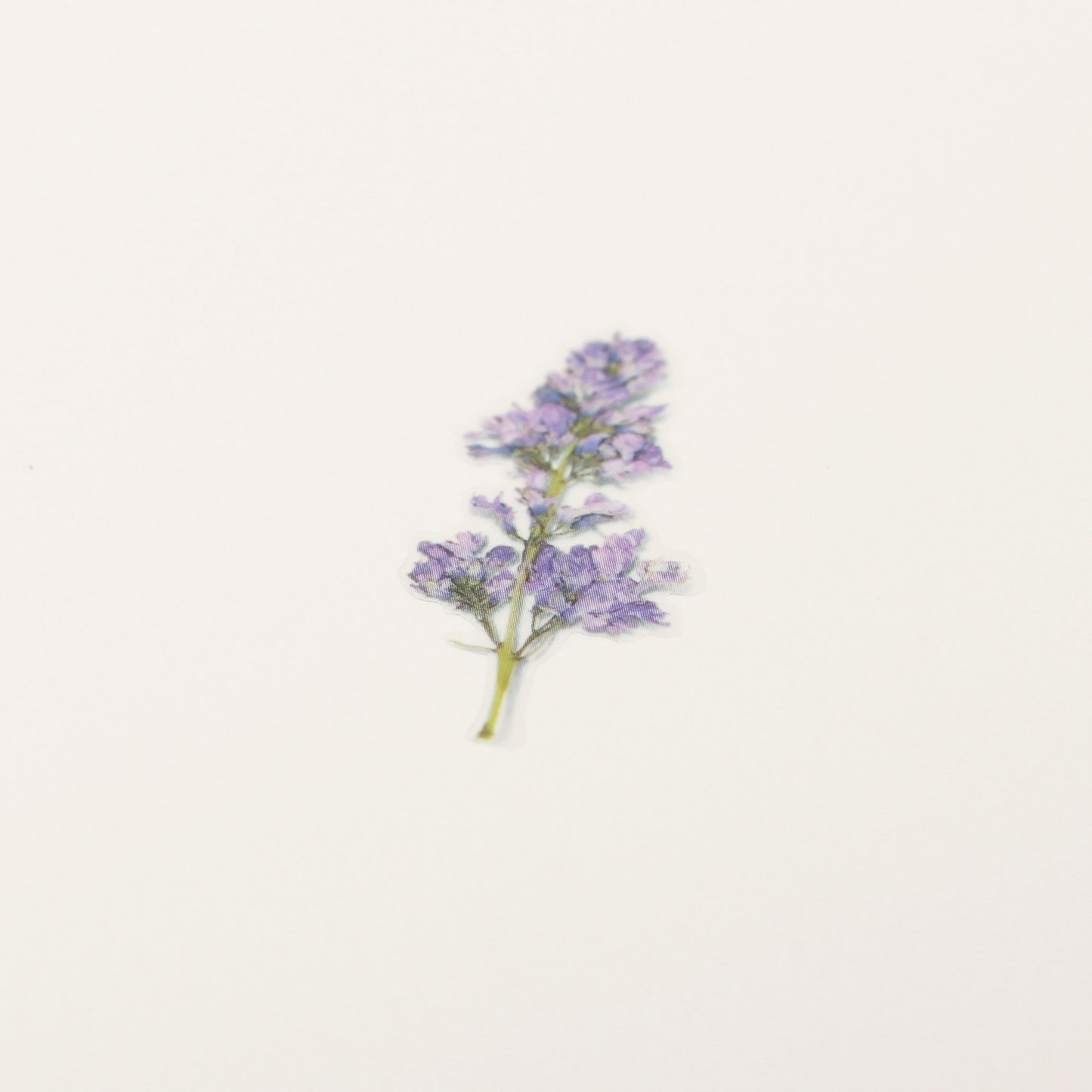 Appree Pressed Flower Sticker - Lilac