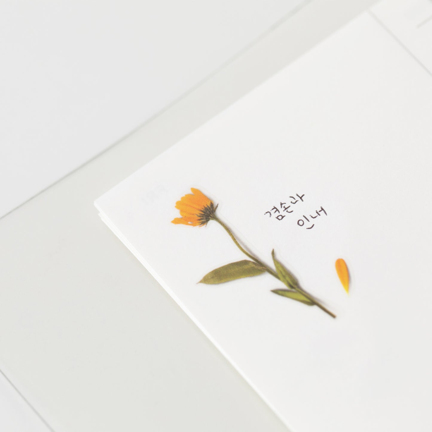 Appree Pressed Flower Sticker - Calendula