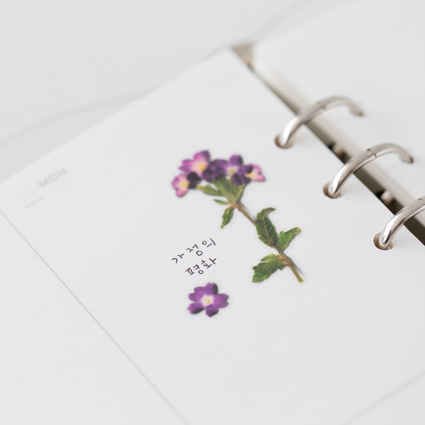 Appree Pressed Flower Sticker - Verbena