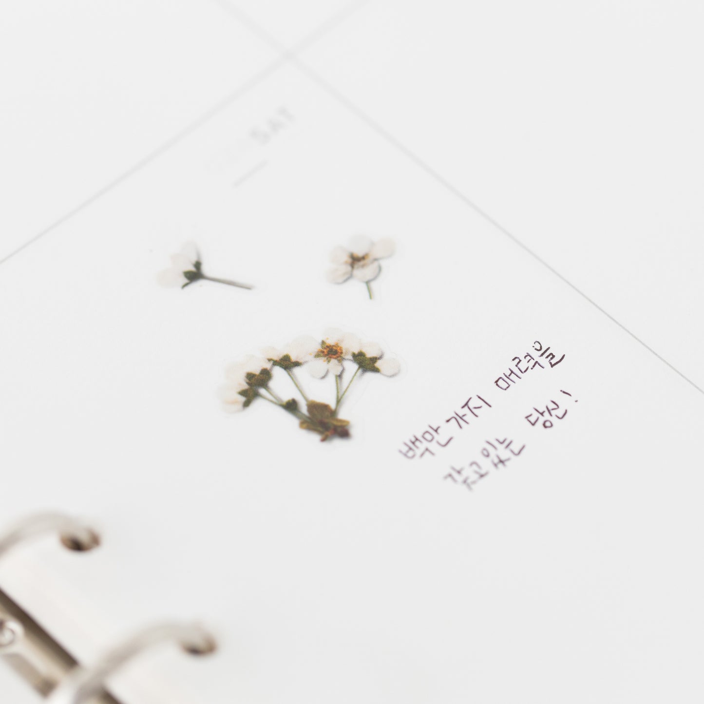 Appree Pressed Flower Sticker - Bridal Wreath