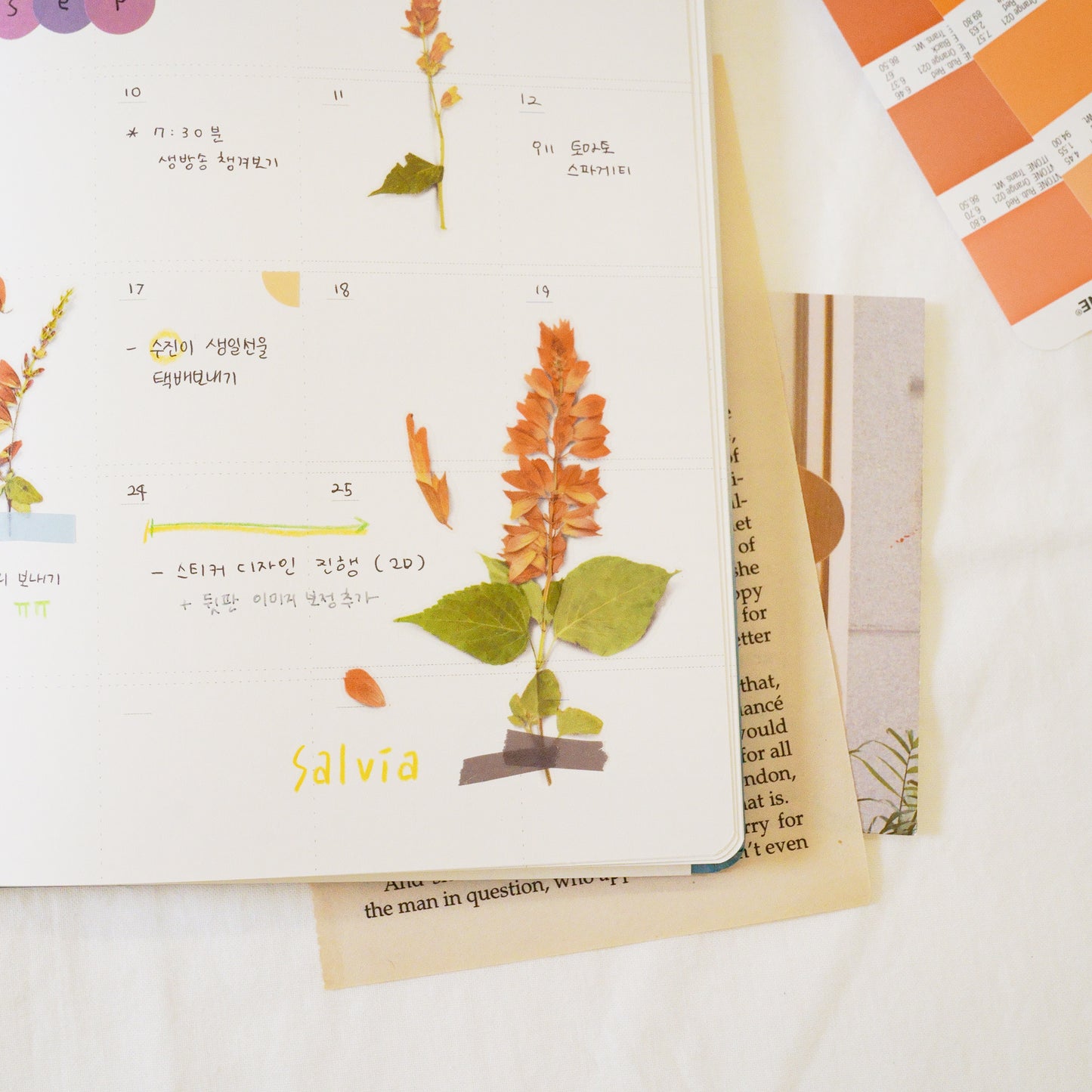 Appree Pressed Flower Sticker - Salvia