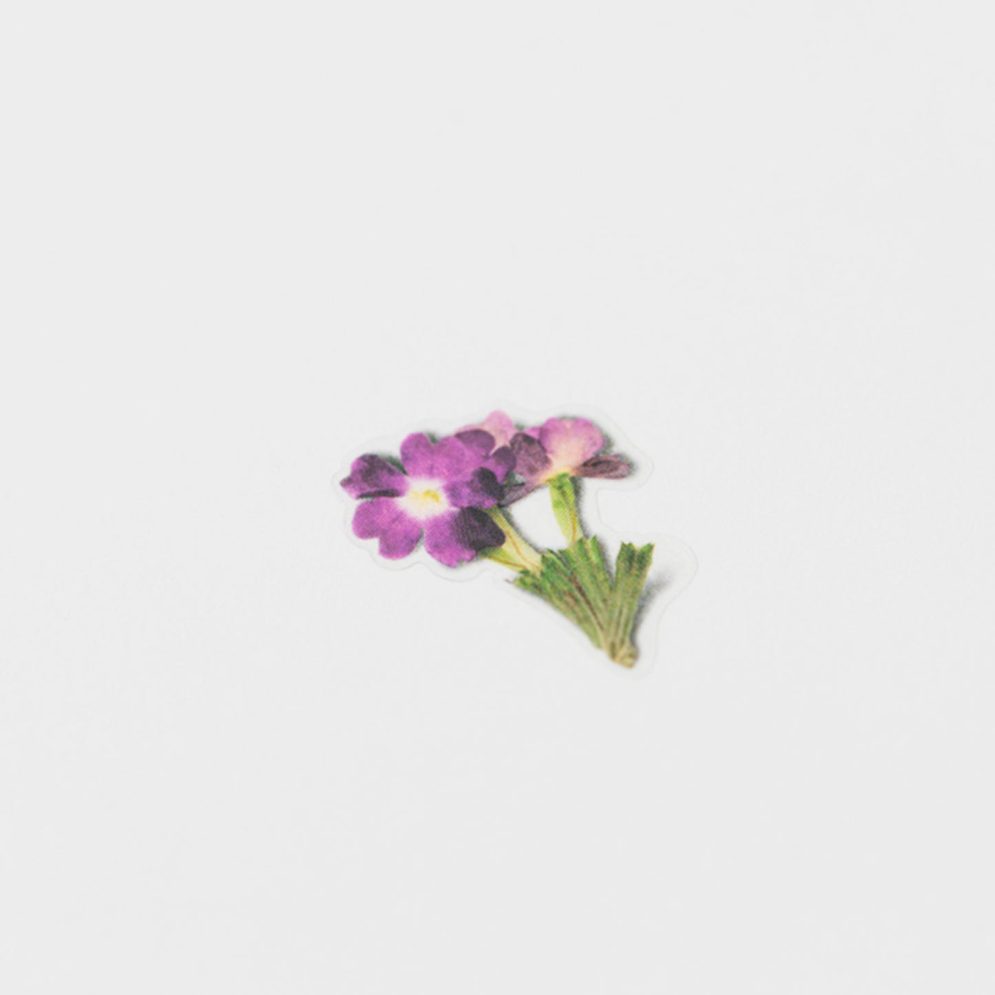 Appree Pressed Flower Sticker - Verbena