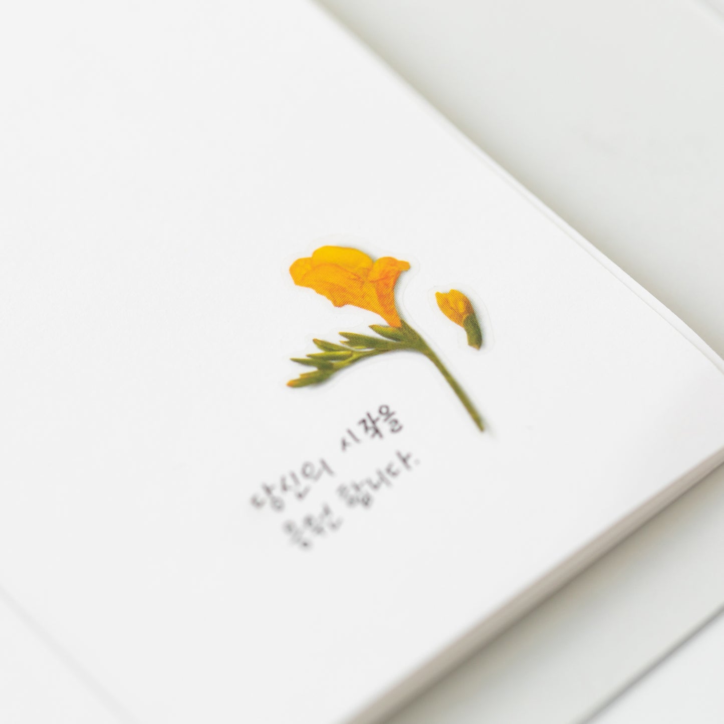 Appree Pressed Flower Sticker - Freesia