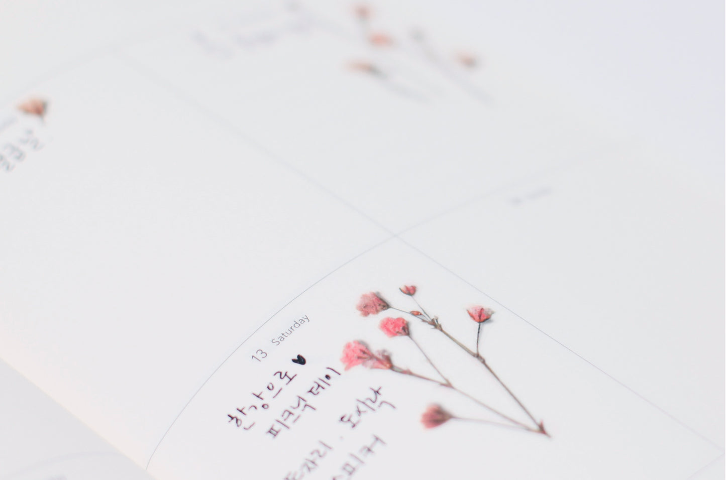 Appree Pressed Flower Sticker - Gypsophila