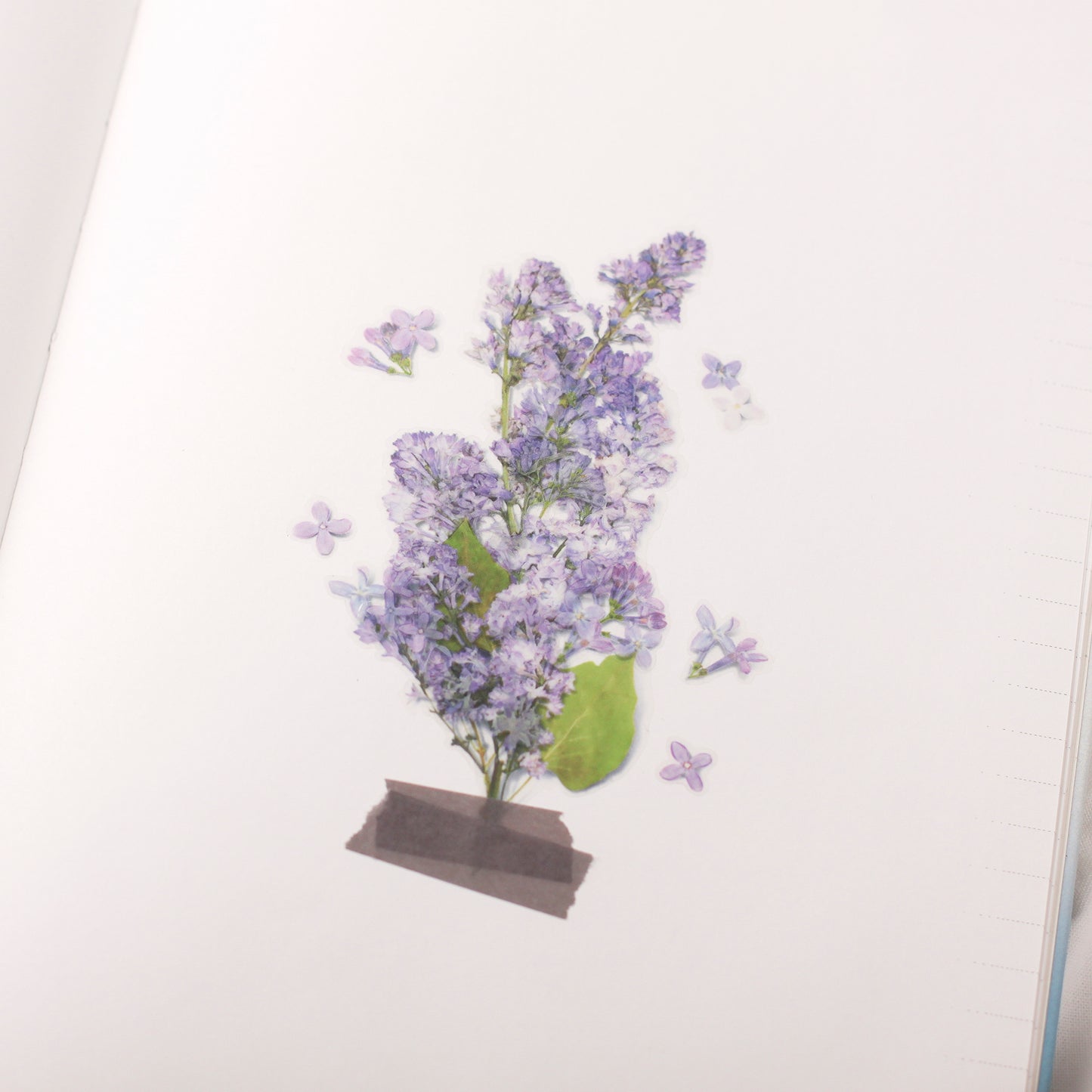 Appree Pressed Flower Sticker - Lilac
