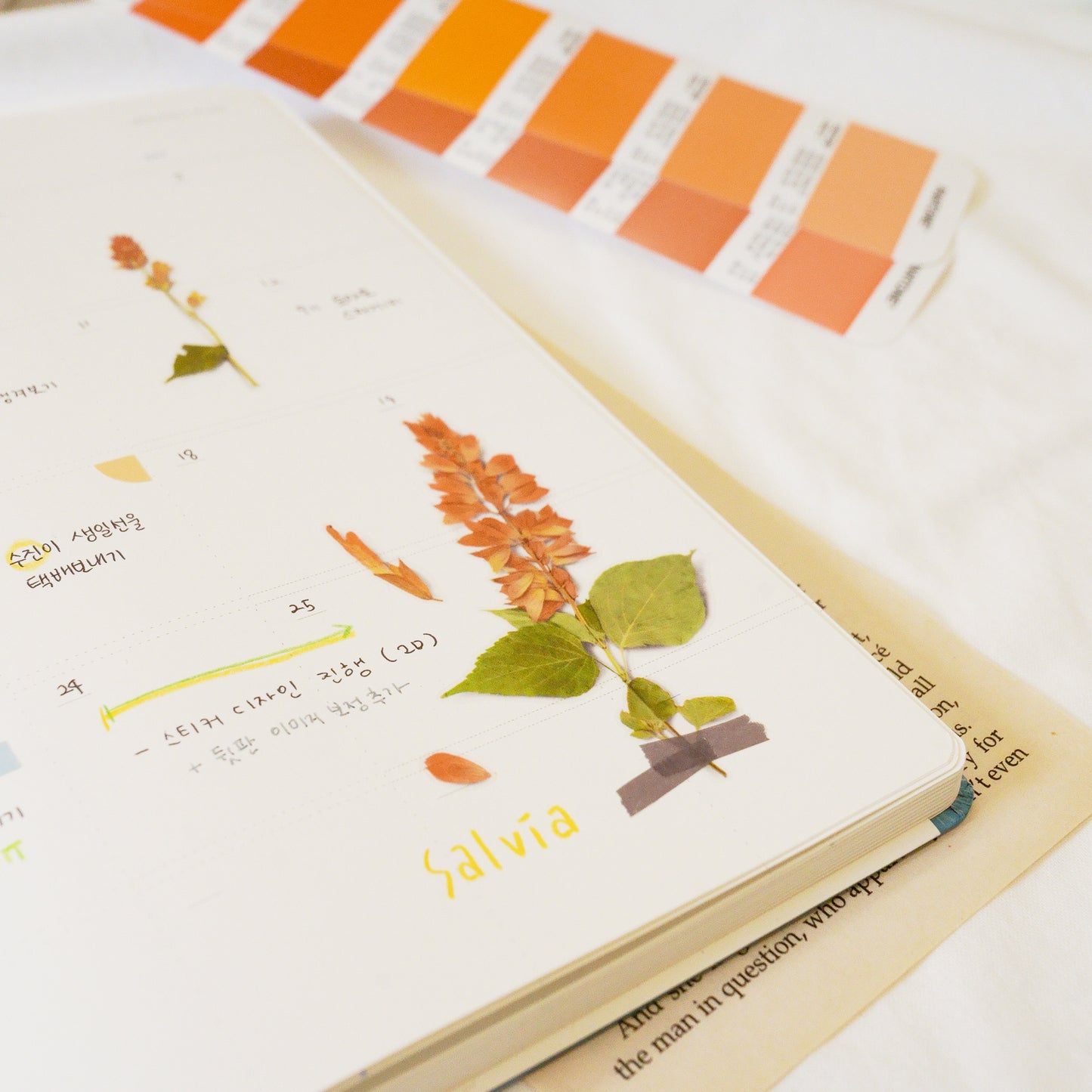 Appree Pressed Flower Sticker - Salvia