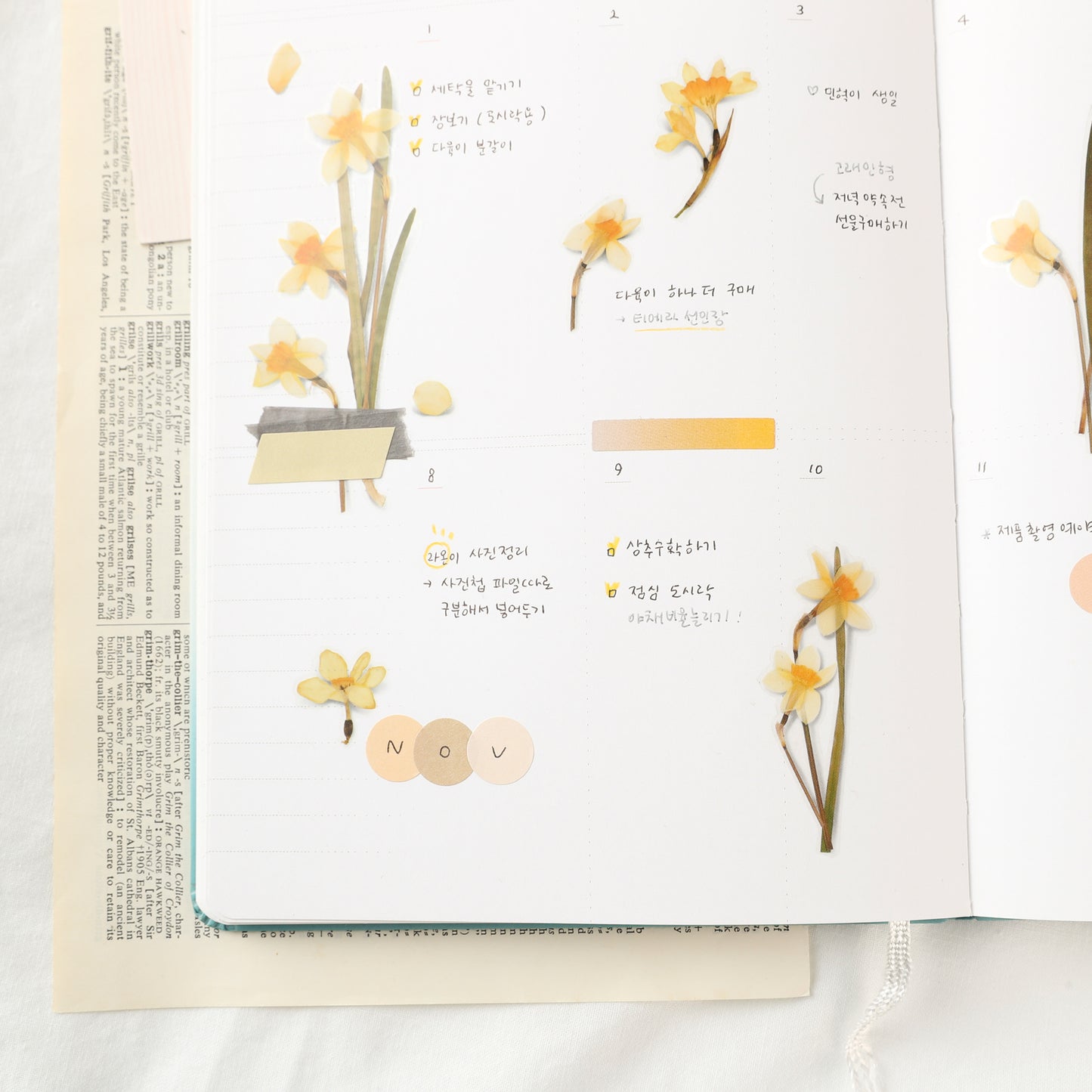 Appree Pressed Flower Sticker - Narcissus