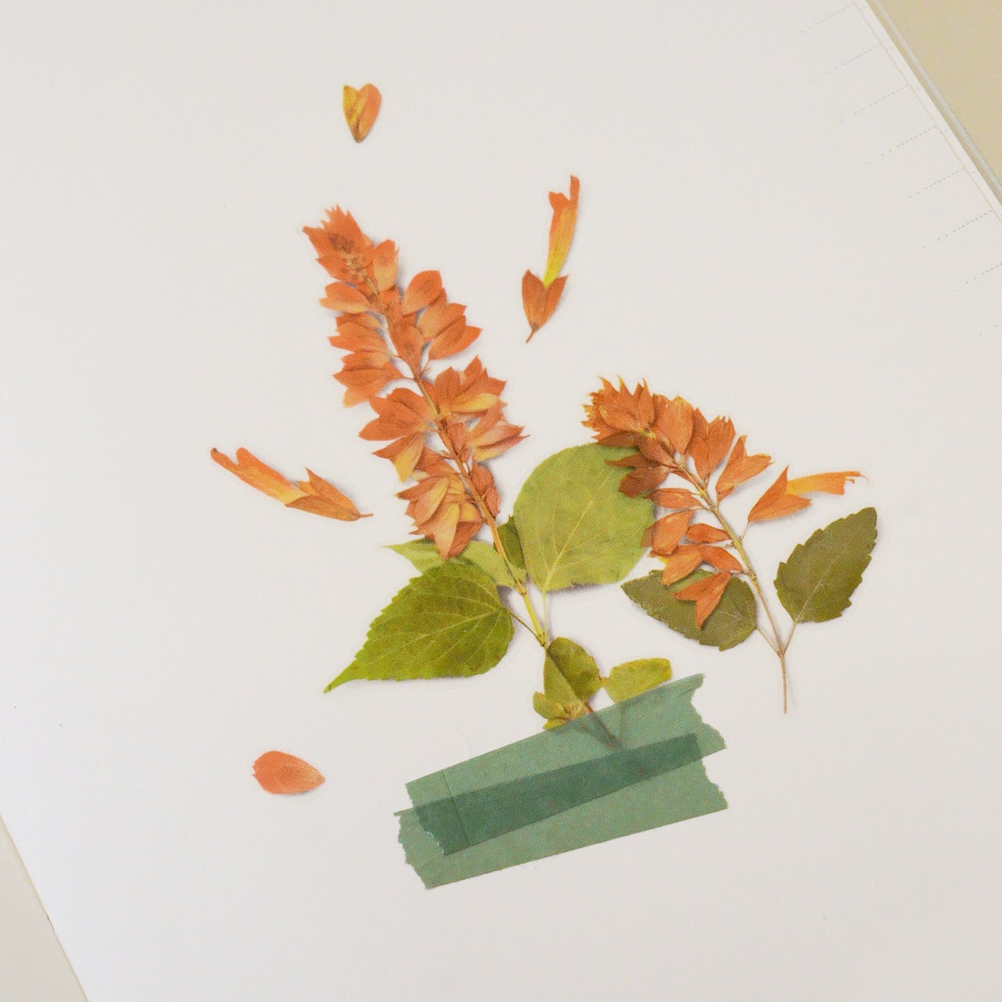 Appree Pressed Flower Sticker - Salvia