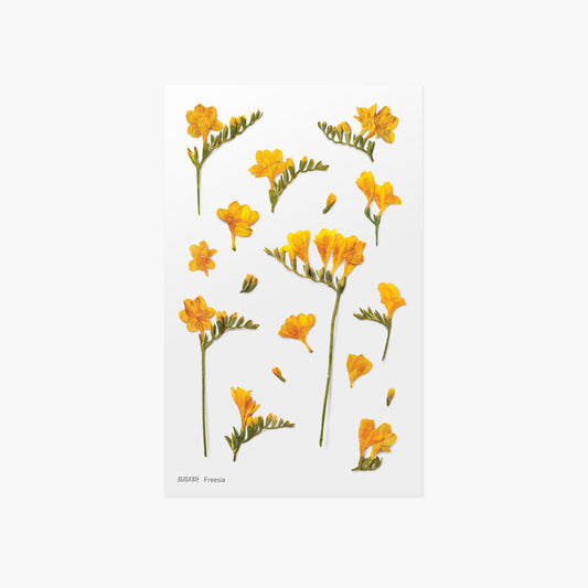 Appree Pressed Flower Sticker - Freesia