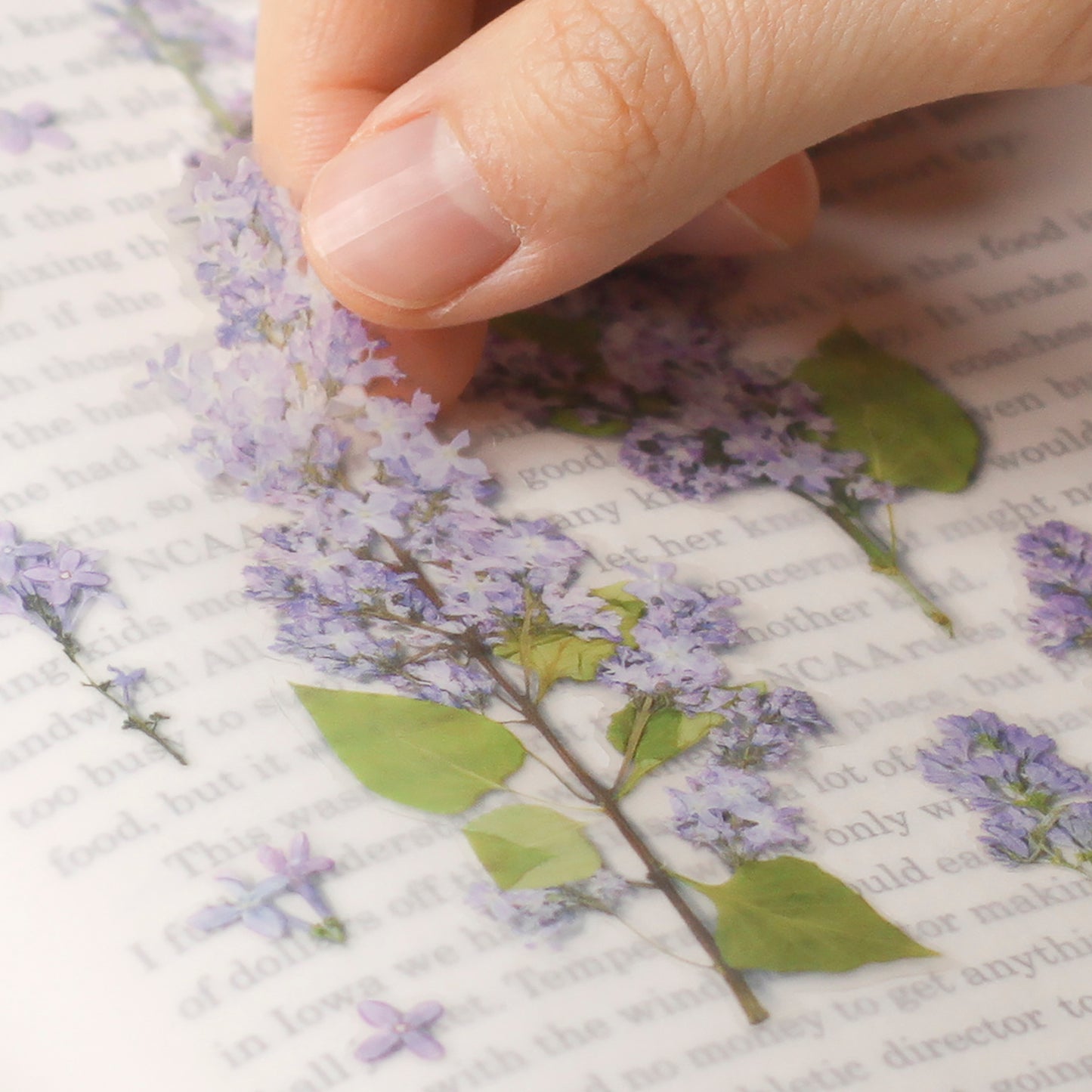 Appree Pressed Flower Sticker - Lilac