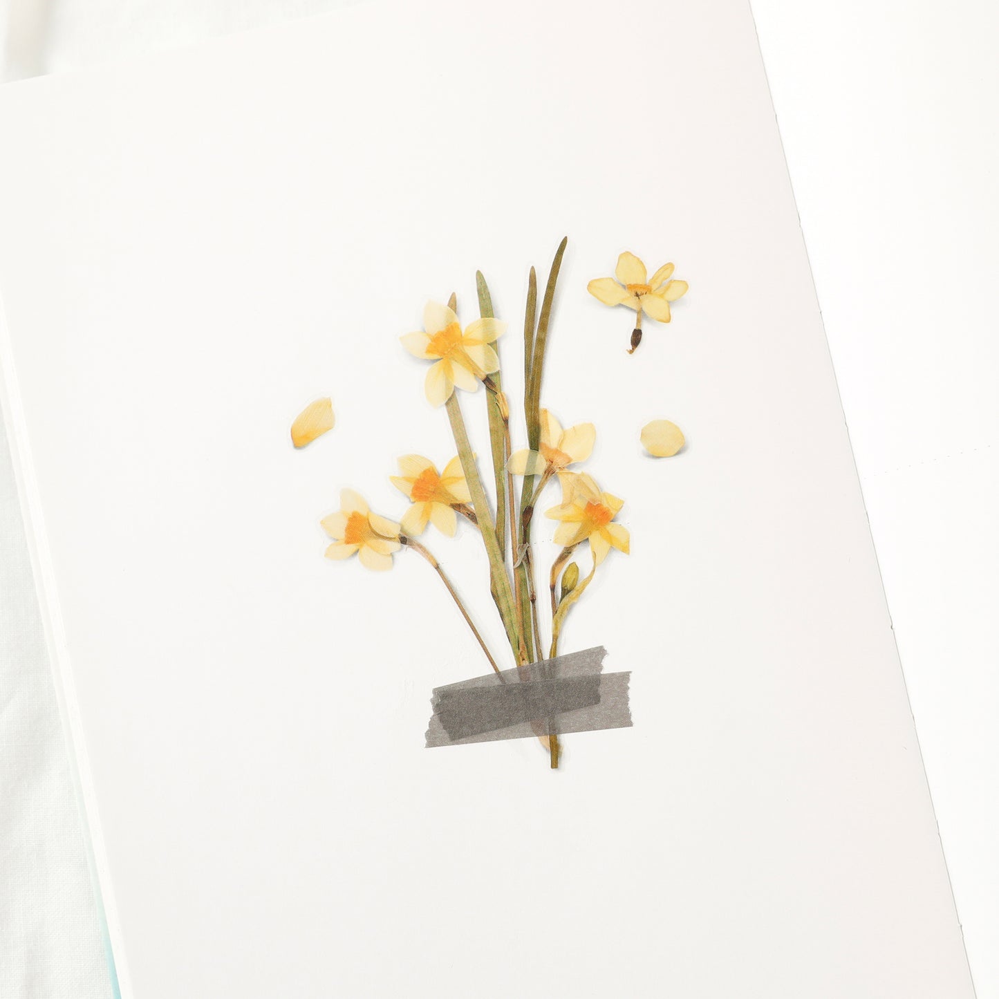 Appree Pressed Flower Sticker - Narcissus