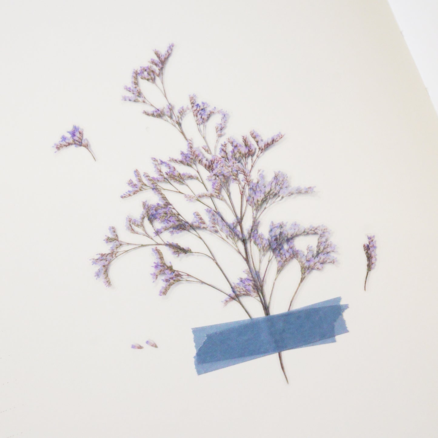 Appree Pressed Flower Sticker - Misty Blue
