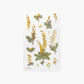 Appree Pressed Flower Sticker - Mimosa