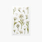 Appree Pressed Flower Sticker - Sweet Alyssum