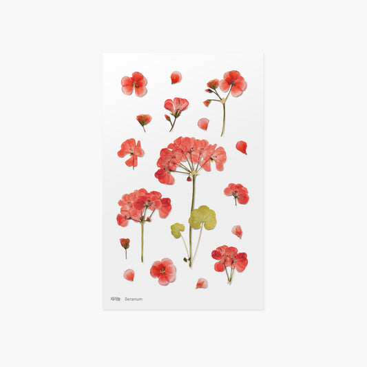 Appree Pressed Flower Sticker - Geranium
